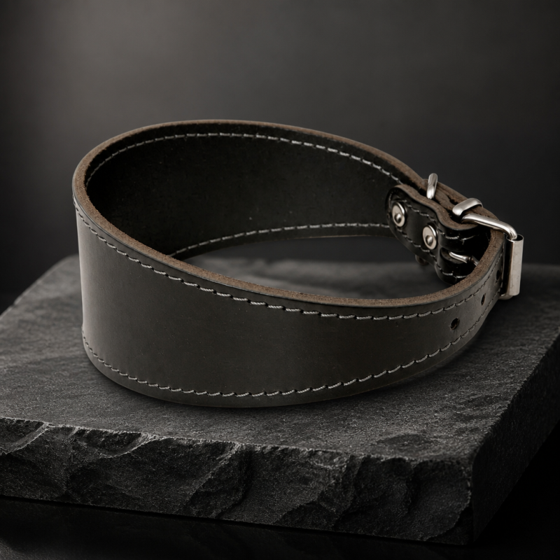 Královský kožený obojek Saluki Prestige Guard 6cm
