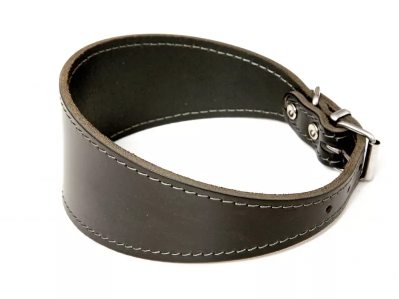 Obojek Chrt