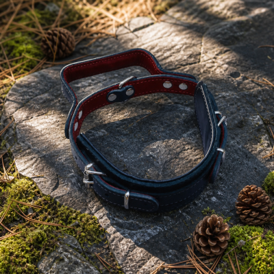 TitanArmor Pro: Kožený dogtrekkingový obojek s madlem fotka 990